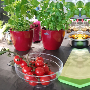 Familienkochkurs Chemnitz Familienkochkurs Chemnitz